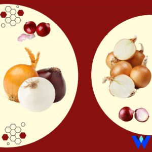6 benefícios da cebola para sua surpresa