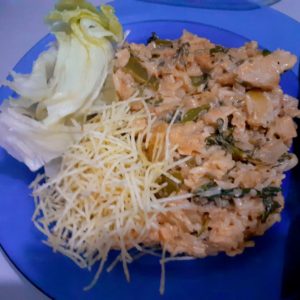 Estrogonofe de frango fácil