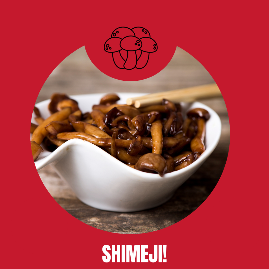 Benefícios do shimeji para a saúde. Um guia completo sobre