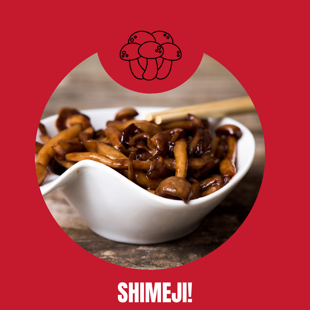 Benefícios do shimeji para a saúde. Um guia completo sobre.