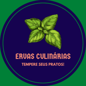 Guia de temperos verdes. Conheça os 12 essenciais para sua cozinha.