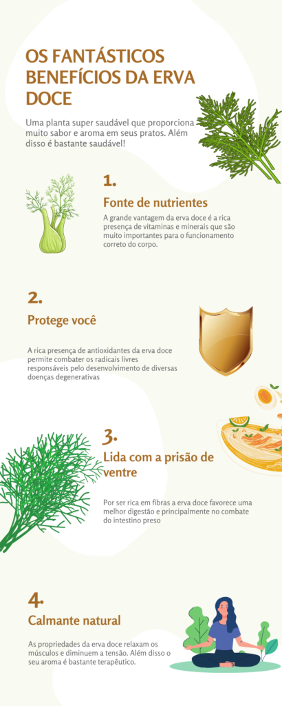 infográfico benefícios da erva doce