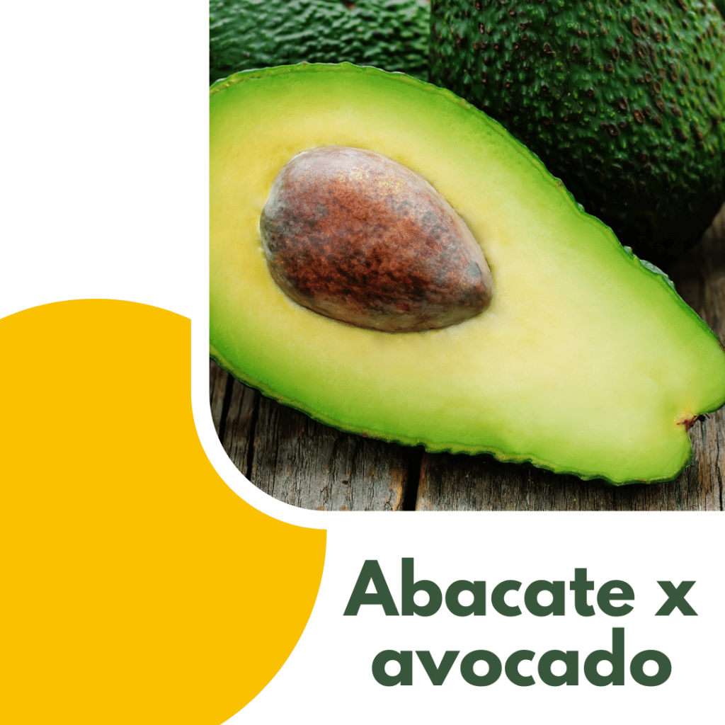 qual a diferença entre abacate e avocado